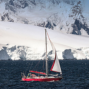 南极,帆船,巡航,冰河