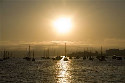 日落,后面,帆船,圣地亚哥,加利福尼亚,美国