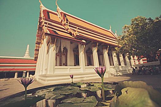 漂亮,庙宇,泰国,前景