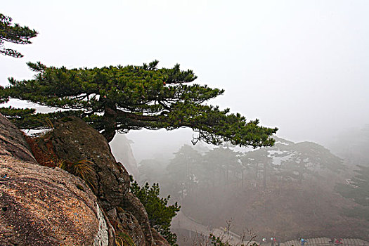 黄山,奇石,云海,壮观,名胜,风景,0039