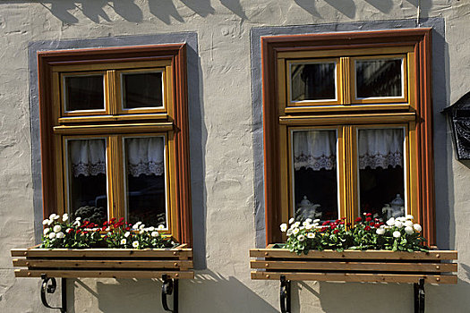 德国,靠近,奎德琳堡,世界遗产,半木结构,房子,窗户