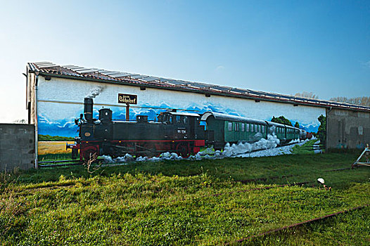 壁画,老,火车头,仓库,车站,梅克伦堡前波莫瑞州,德国,欧洲