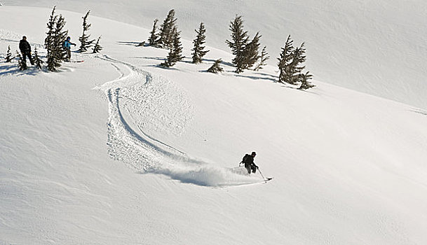 滑雪者,滑雪板玩家,看,人,边远地区,下降,阿拉斯加