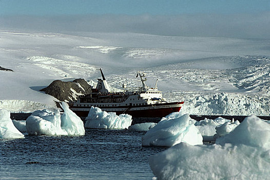 南极,乔治王岛,社会,探索者,游船,冰,鹅卵石,前景