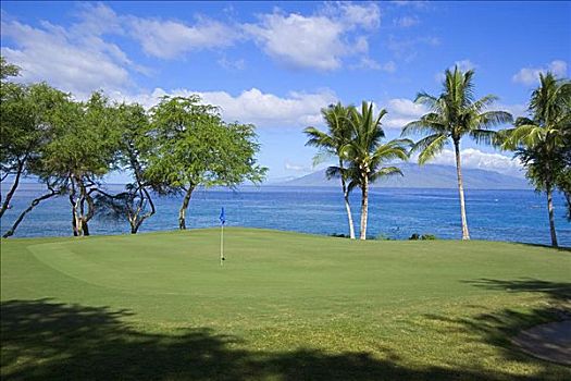夏威夷,毛伊岛,麦肯那,南,高尔夫球场,洞,果岭,靠近,海洋
