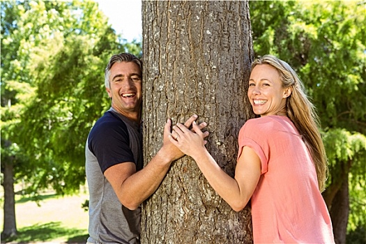 幸福伴侣,搂抱,树