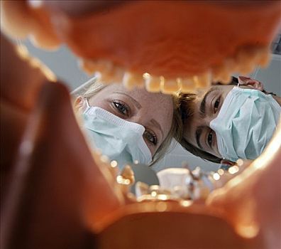 假牙,两个,未来,牙医,牙齿,训练,牙科诊所,大学,巴登符腾堡,德国,欧洲