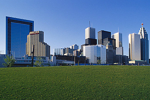 城市天际线,地点,多伦多,安大略省,加拿大