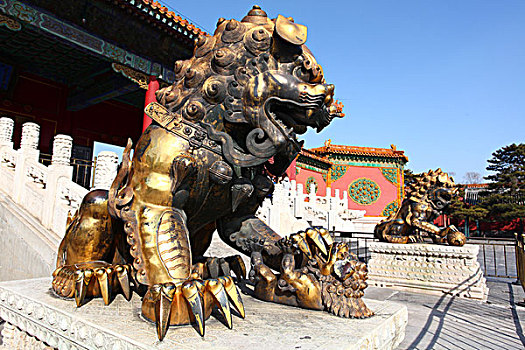 镀金,铜狮子,故宫,中国,北京,全景,地标,传统