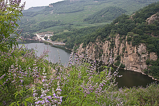 秦皇岛,石头,山村,山沟,村庄,青山绿水,原野,舒适,水库,旅游