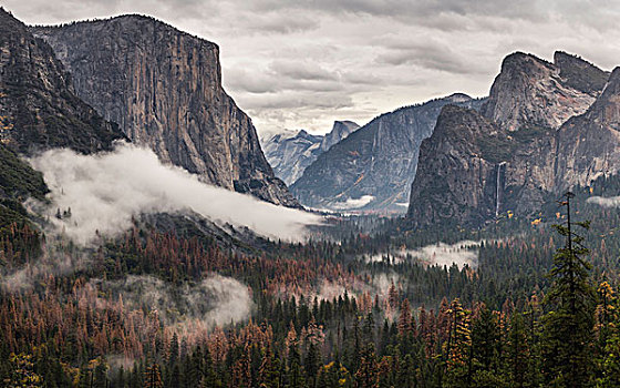 俯视图,山谷,树林,雾气,优胜美地国家公园,加利福尼亚,美国