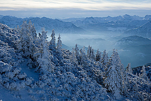 风景,冬天,巴伐利亚阿尔卑斯山,上巴伐利亚,巴伐利亚,德国
