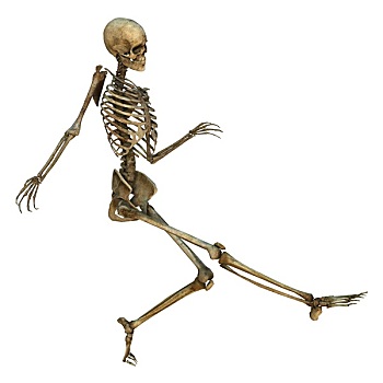 跳舞,骨骼