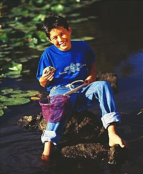 男孩,坐,水塘,拿着,小,海龟,网