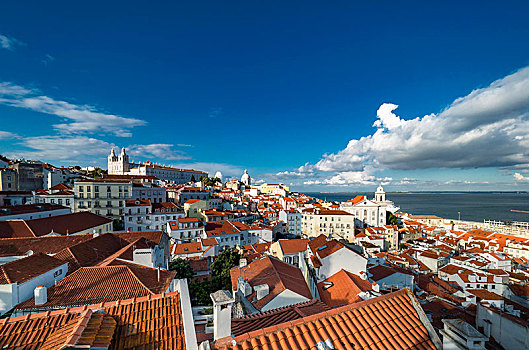 风景,老城,背影,寺院,教堂,地区,阿尔法马区,里斯本,葡萄牙,欧洲