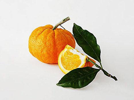 克莱门氏小柑橘,叶子,白色背景