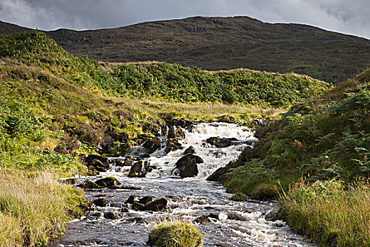 河,流动,上方,石头,丘陵地貌,苏格兰
