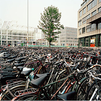 停放,自行车,荷兰