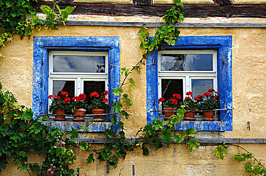 两个,窗户,天竺葵,蓝色,边界,农场,建造,户外,博物馆,坏,中弗兰肯,德国,巴伐利亚,欧洲