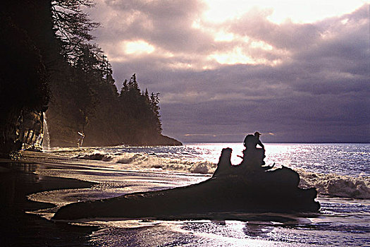 原木,看,风暴,海洋,小路,不列颠哥伦比亚省,加拿大
