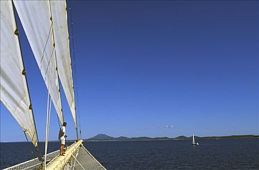 帆船,星,达尔马提亚,达尔马提亚海岸,克罗地亚