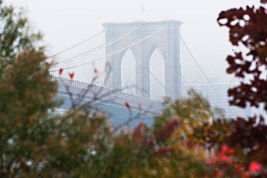 特写,布鲁克林大桥,雾气,纽约,美国