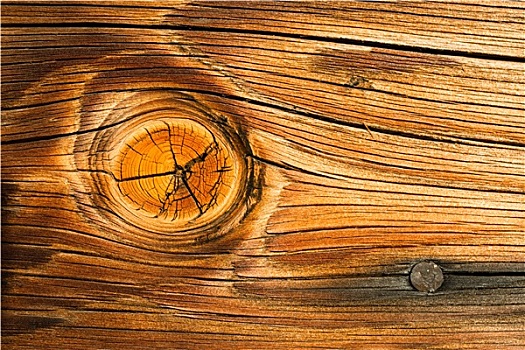 木材,树瘤,木头,打结,木板,微距,一个,烧,钉子