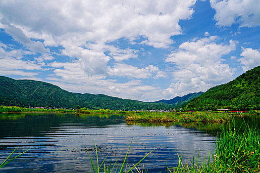 湿地公园