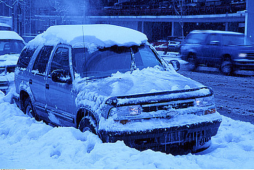 卡车,雪中