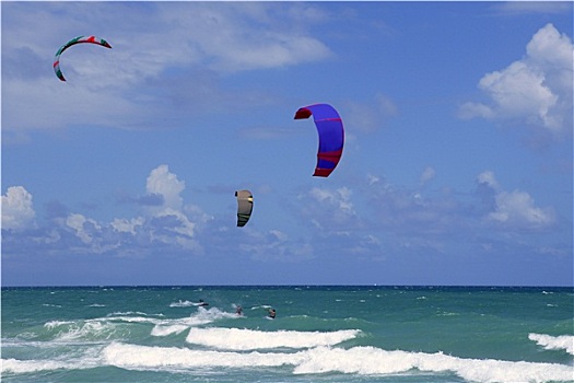 风筝,海浪,水上运动,佛罗里达,迈阿密海滩
