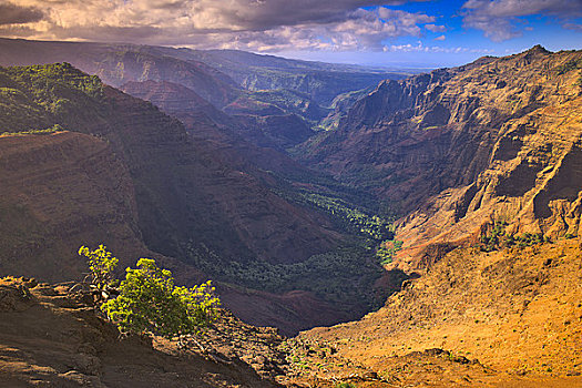 俯拍,峡谷,威美亚峡谷,考艾岛,夏威夷,美国