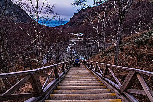 吉林省长白山地下森林景区