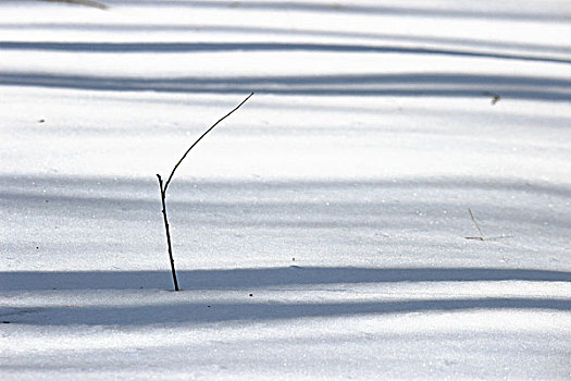 雪影