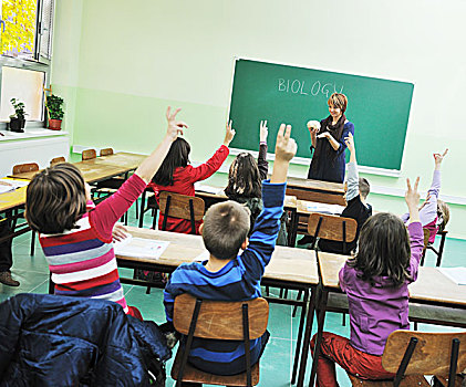 高兴,孩子,群体,学校,记录,学习,生物学,身体部位,授课,教师