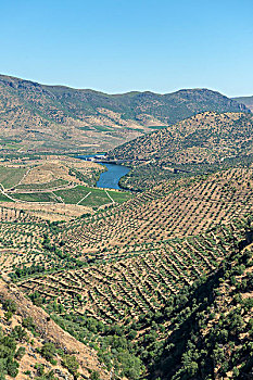 葡萄牙,风景,河谷,大幅,尺寸