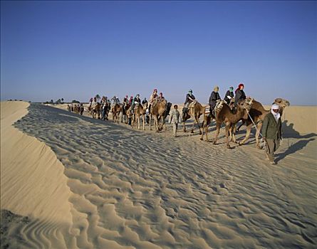 沙丘,人,游客,旅游,群体,骑,骆驼,杜兹