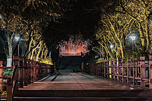 杭州孤山中山公园夜景