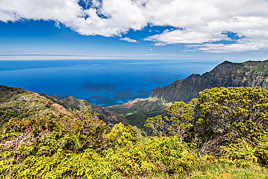 夏威夷,考艾岛,寇基,州立公园,风景,卡拉拉乌谷,暸望,大幅,尺寸