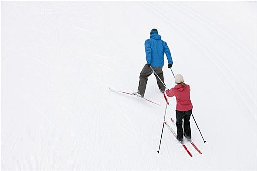 后视图,伴侣,越野滑雪,不列颠哥伦比亚省,加拿大