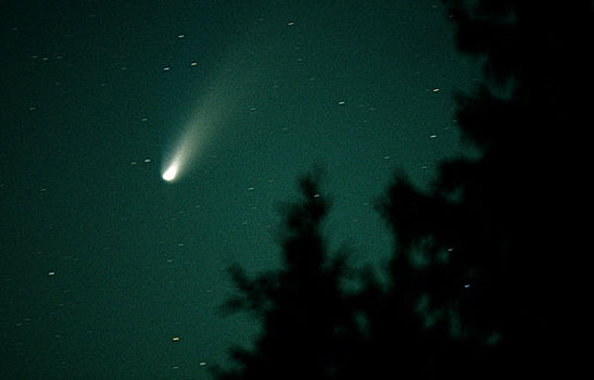 海樂波普,彗星,夜晚,天空,芬蘭,歐洲