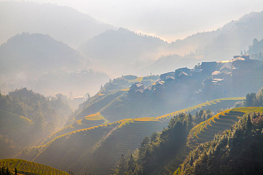 中国广西桂林龙脊梯田日照美景