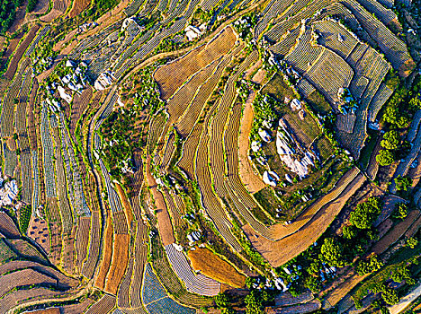 航拍沂蒙山梯田