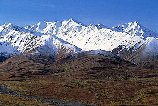 山脉,阿拉斯加,美国