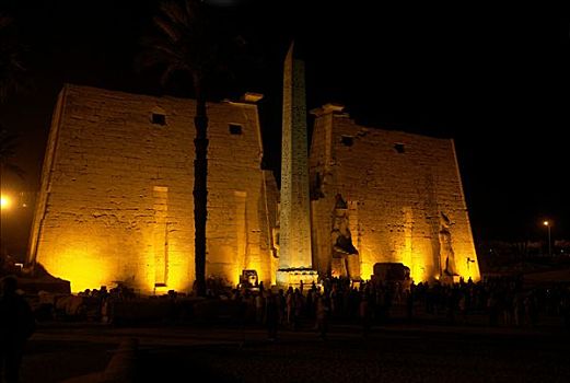路克索神庙,尼罗河,埃及,庙宇,植物,入口,拉美西斯,雕塑,方尖塔,夜晚