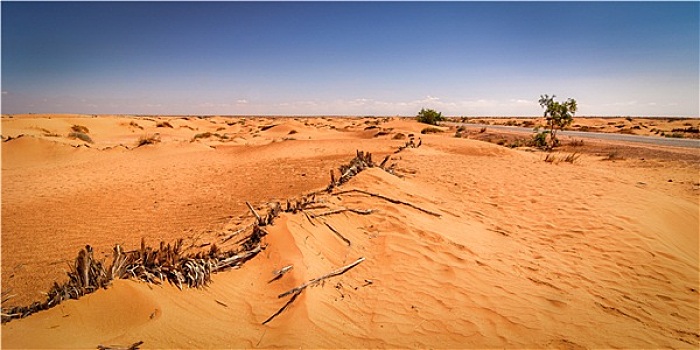 沙漠,突尼斯