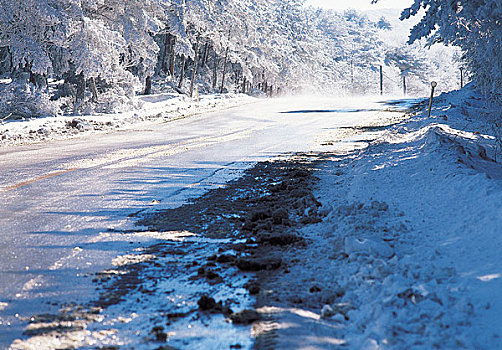 雪,道路