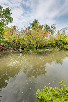 中国江苏南京栖霞山桃花涧的池塘桃花和园林建筑