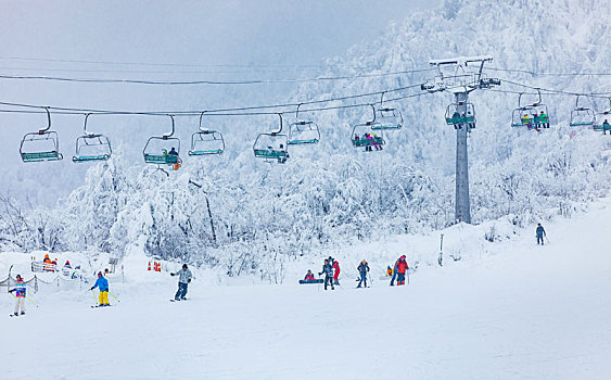 西岭雪山大雪的美丽风景