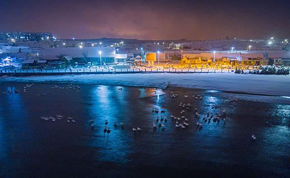 航拍山东威海俚岛镇烟墩角拍摄的冬天雪地天鹅风景夜景