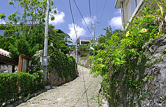 那霸,城市,冲绳